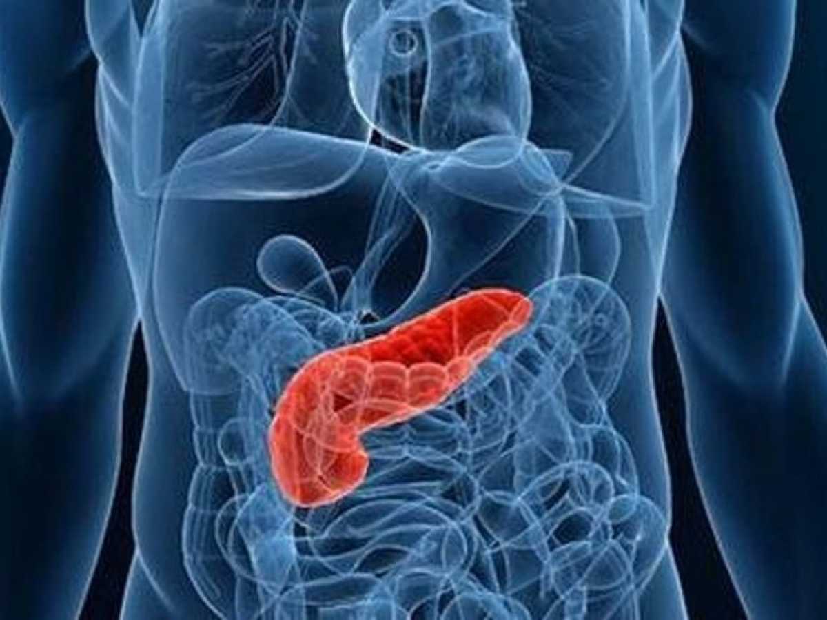 sistema de páncreas artificial para pacientes con diabetes