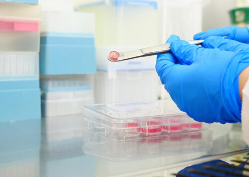 Investigador israelí avanza bioimpresión 3D hacia trasplantes de órganos, ‘abriendo la puerta a mejores soluciones’